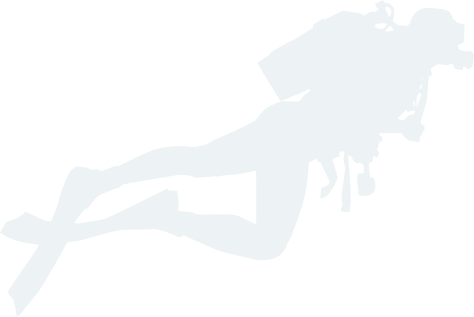 bg真人视讯